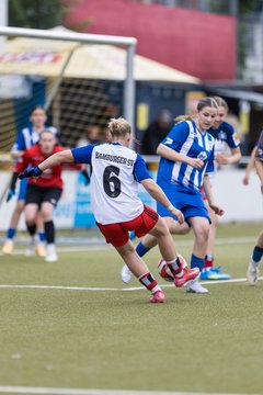 Bild 289 - wBJ Hamburger SV - FC Suederelbe : Ergebnis: 9:0